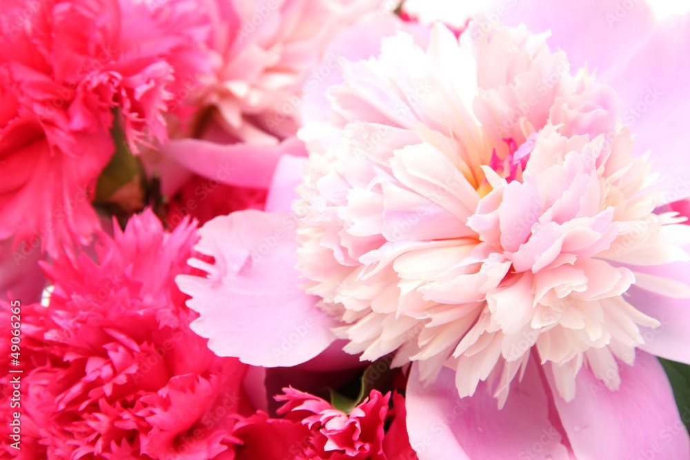 background of beautiful spring flowers