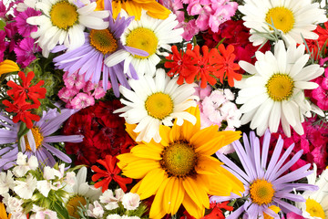 beautiful bouquet of bright wildflowers, close up