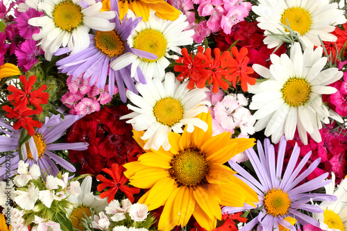 Nowoczesny obraz na płótnie beautiful bouquet of bright wildflowers, close up