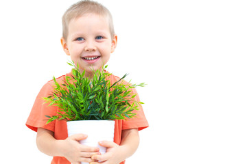 Wall Mural - Cute little boy and plant