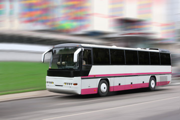 the tourist bus