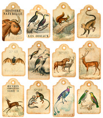 12 vintage tags