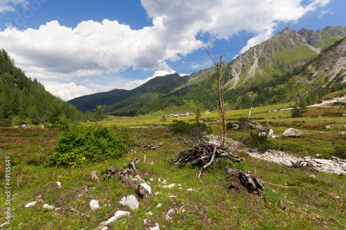 Plakat na papierze fotorealistycznym Oryginalny Schladming