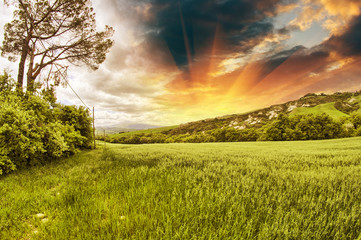 Wall Mural - Spring colors of Tuscany - Meadows and Hills