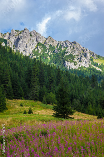 Board z aluminiowym obramowaniem Letni widok na Tatry, Polska.