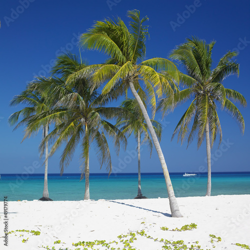 Plakat na papierze fotorealistycznym Plaża maria la gorda, pinar del rio, na Kubie