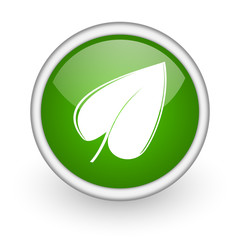 Leinwandbilder - leaf green circle glossy web icon on white background