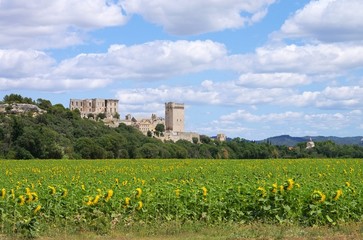 Sticker - Abbaye de Montmajour 08