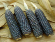mini blue corn on dry leaves background