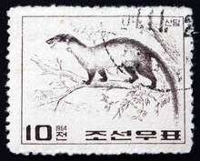 Postage Stamp North Korea 1964 Yellow-throated Marten