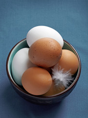 Poster - brown and white eggs