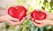 Red hearts in woman and man hands, on green background