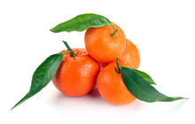 Clementines With Leaves
