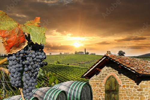 Tapeta ścienna Chianti, słynny winnic we Włoszech