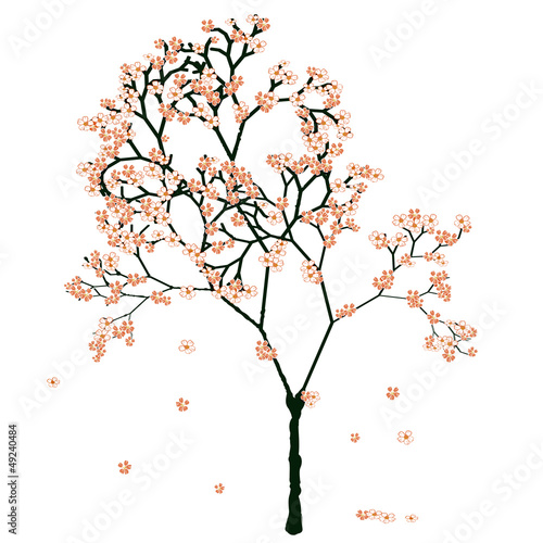 Board z aluminiowym obramowaniem Drzewo sakura