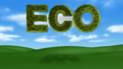 3D ECO with Landscape