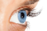 Fototapeta  - Woman's eye with long eyelashes