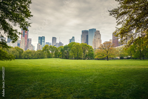 Tapeta ścienna Park centralny w deszczowy dzień