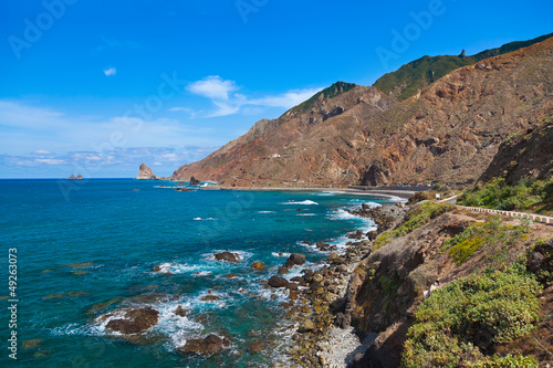 Foto-Vorhang - Coast in Tenerife island - Canary Spain (von Nikolai Sorokin)