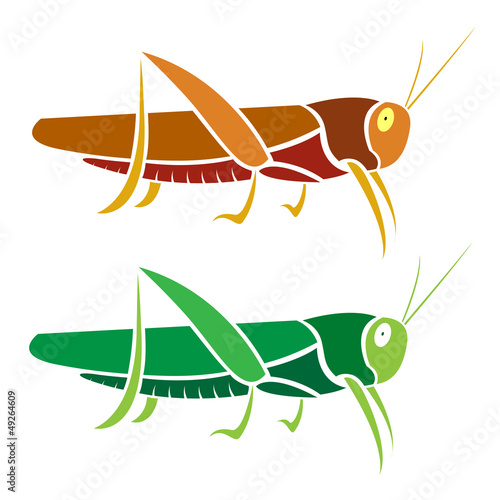 Naklejka dekoracyjna Vector image of an grasshopper on white background