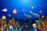 Fototapeta Do akwarium - rafa koralowa