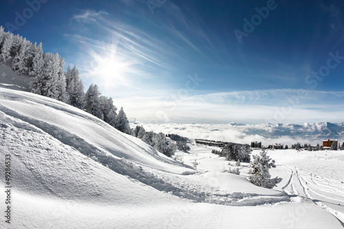 Board z aluminiowym obramowaniem Śledź snowboard