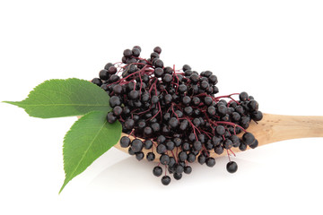 Elderberry Fruit