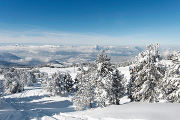 Wall Mural - Paysage de neige