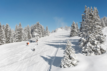 Wall Mural - Neige en station de ski