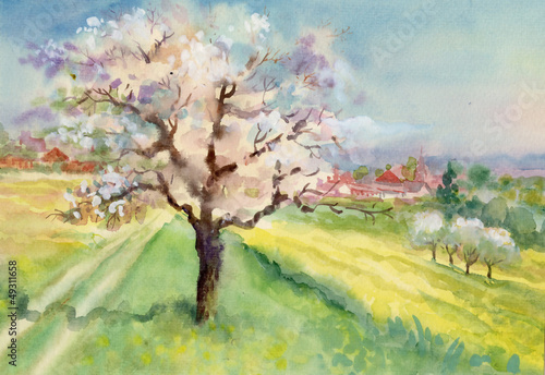 Fototapeta do kuchni Watercolor Landscape Collection