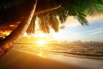 Fotobehang - sunrise on Caribbean beach
