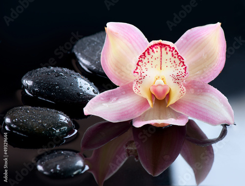 Fototapeta na wymiar Spa Stones and Orchid Flower over Dark Background