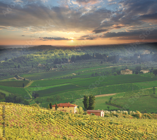 Tapeta ścienna Chianti, słynny winnic we Włoszech