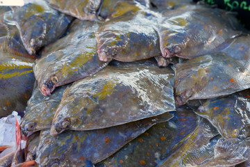 Wall Mural - Flatfish on the stand