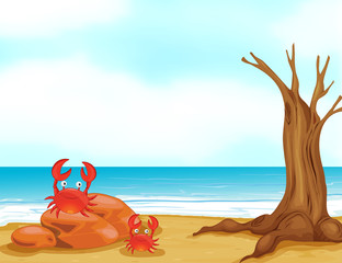 Wall Mural - Crabs on a beautiful beach