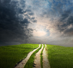 Wall Mural - Stormy Pathway