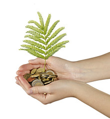 Investing to green business