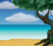 A Big Tree At The Beach