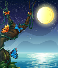 Wall Mural - the full moon