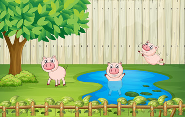 Canvas Print - Pigs in the backyard