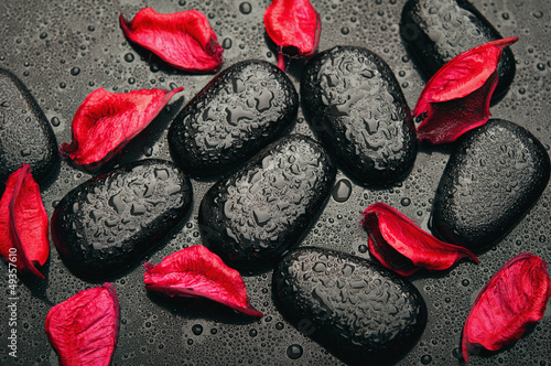 Obraz w ramie background spa. black stones and red petals with water droplets