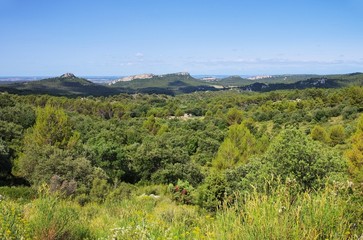 Wall Mural - Alpilles 04