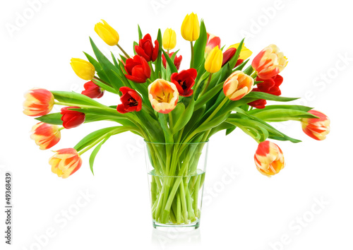 Pfiffiger Tulpenstrauß, Freisteller