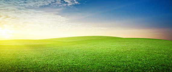 Wall Mural - panoramic meadow