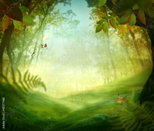 Fototapeta do kuchni Spring design - Forest meadow
