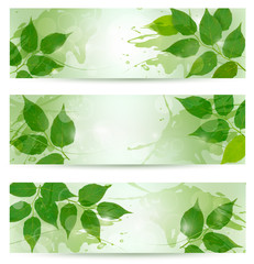 Three nature background with green spring leaves. Vector illustr