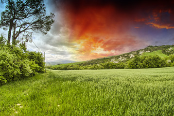 Sticker - Spring colors of Tuscany - Meadows and Hills