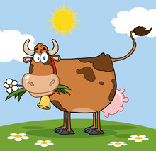 Brown Dairy Cow With Flower In Mouth On A Meadow