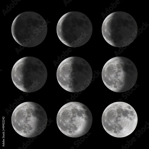  Fototapeta księżyc   zestaw-faz-ksiezyca-dla-nowych-pol-i-pelnych