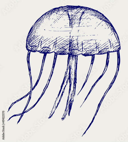 Plakat na papierze fotorealistycznym Meduza. 